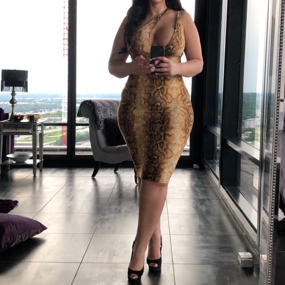 Acting Sneaky Snake Print Midi Dress